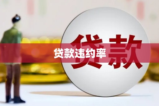 裕民贷款违约率