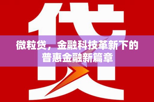 裕民微粒贷，金融科技革新下的普惠金融新篇章