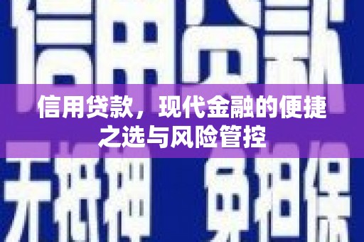 裕民信用贷款，现代金融的便捷之选与风险管控