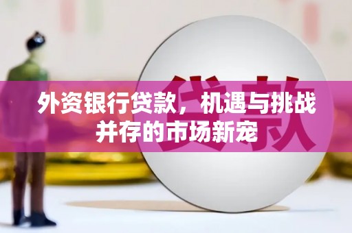 裕民外资银行贷款，机遇与挑战并存的市场新宠