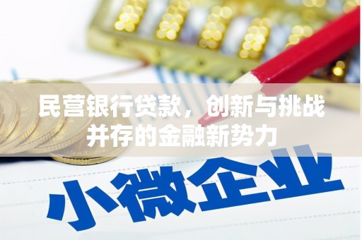 裕民民营银行贷款，创新与挑战并存的金融新势力