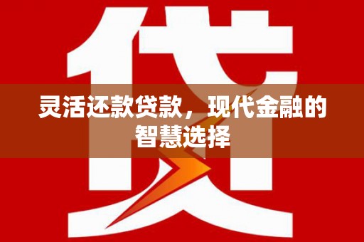 裕民灵活还款贷款，现代金融的智慧选择