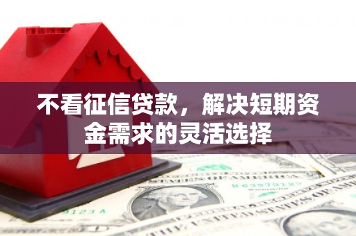 裕民不看征信贷款，解决短期资金需求的灵活选择