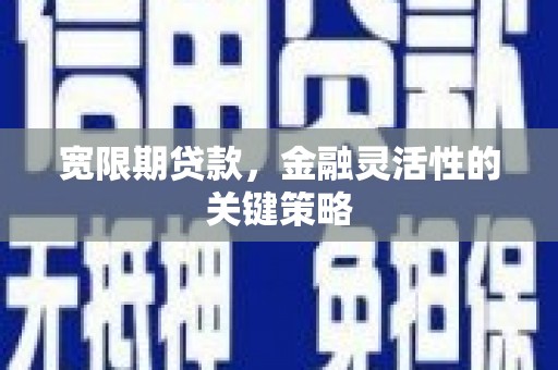 裕民宽限期贷款，金融灵活性的关键策略
