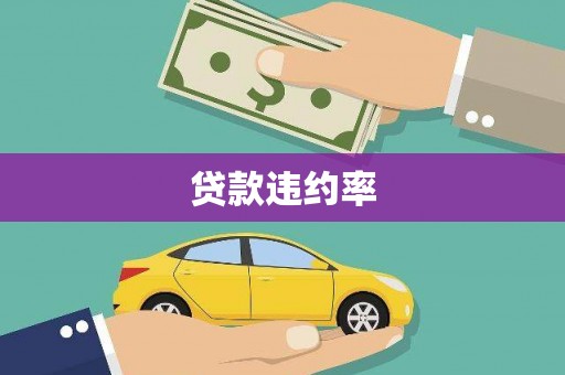 裕民贷款违约率