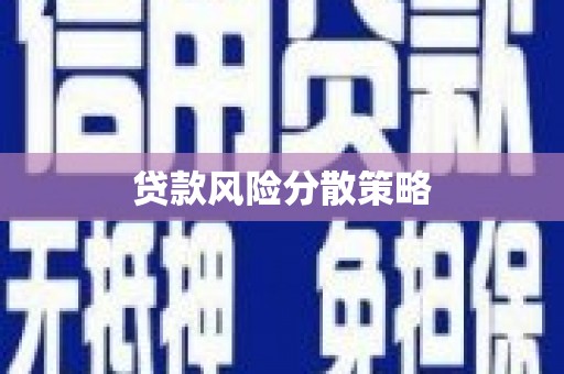 裕民贷款风险分散策略