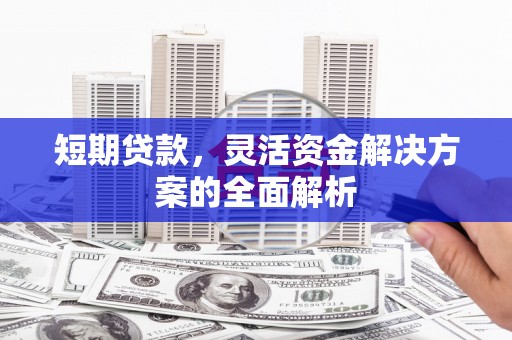 裕民短期贷款，灵活资金解决方案的全面解析