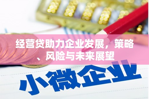 裕民经营贷助力企业发展，策略、风险与未来展望