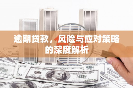裕民逾期贷款，风险与应对策略的深度解析