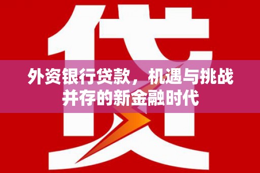 裕民外资银行贷款，机遇与挑战并存的新金融时代