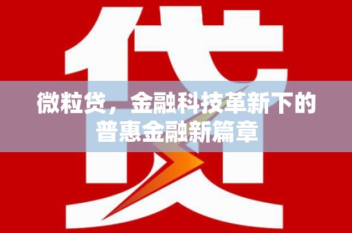裕民微粒贷，金融科技革新下的普惠金融新篇章