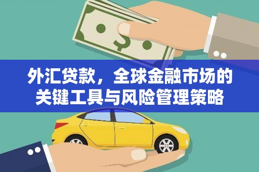 裕民外汇贷款，全球金融市场的关键工具与风险管理策略