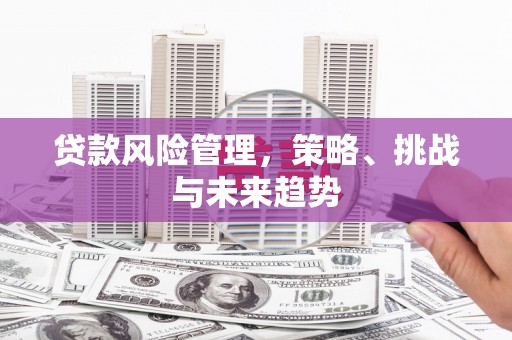 裕民贷款风险管理，策略、挑战与未来趋势