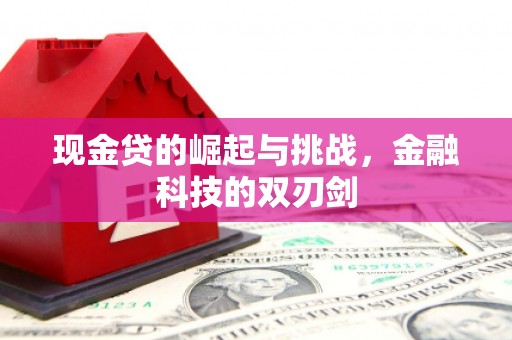 裕民现金贷的崛起与挑战，金融科技的双刃剑