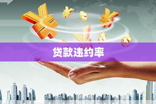 裕民贷款违约率