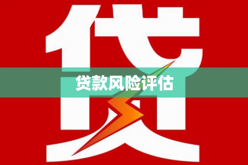 裕民贷款风险评估