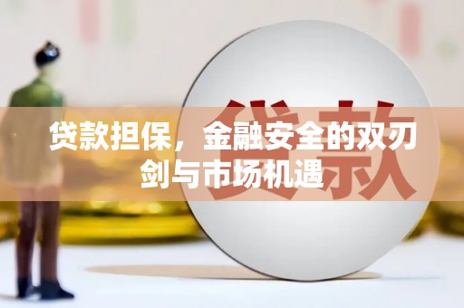 裕民贷款担保，金融安全的双刃剑与市场机遇