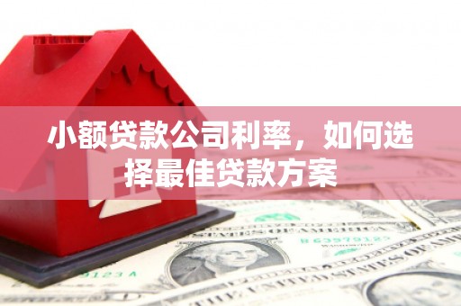 裕民小额贷款公司利率，如何选择最佳贷款方案