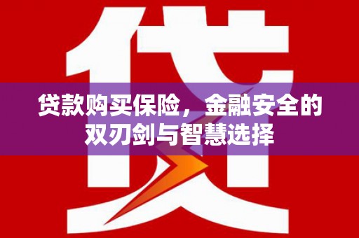裕民贷款购买保险，金融安全的双刃剑与智慧选择