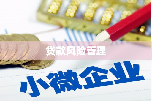 裕民贷款风险管理
