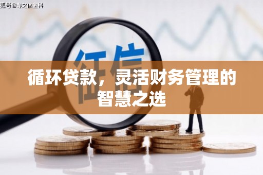 裕民循环贷款，灵活财务管理的智慧之选
