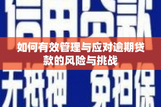 裕民如何有效管理与应对逾期贷款的风险与挑战