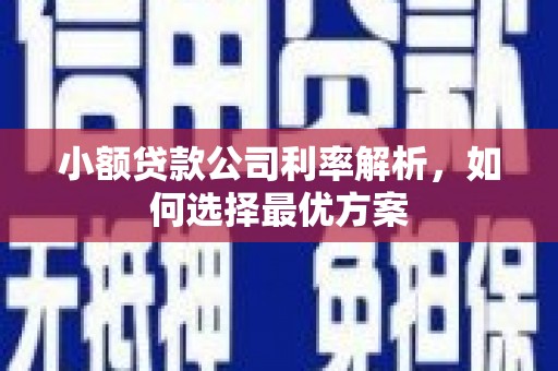 裕民小额贷款公司利率解析，如何选择最优方案