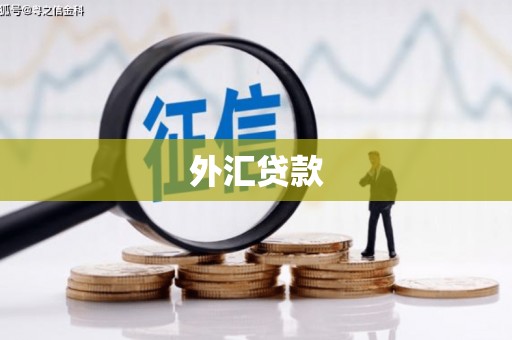 裕民外汇贷款
