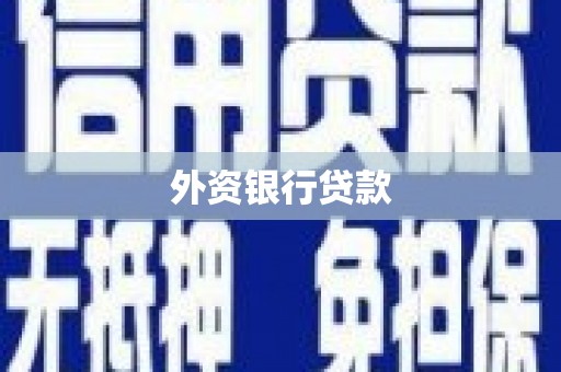 裕民外资银行贷款