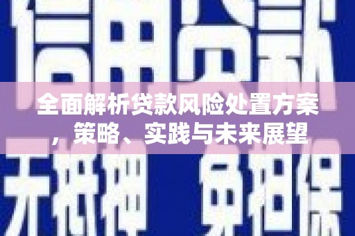 裕民全面解析贷款风险处置方案，策略、实践与未来展望