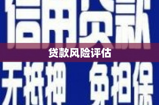 裕民贷款风险评估