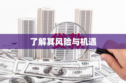裕民了解其风险与机遇