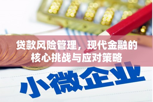 裕民贷款风险管理，现代金融的核心挑战与应对策略