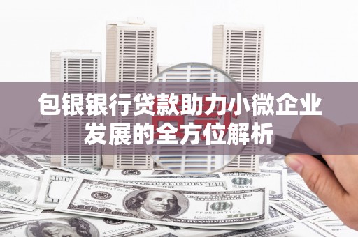 裕民包银银行贷款助力小微企业发展的全方位解析