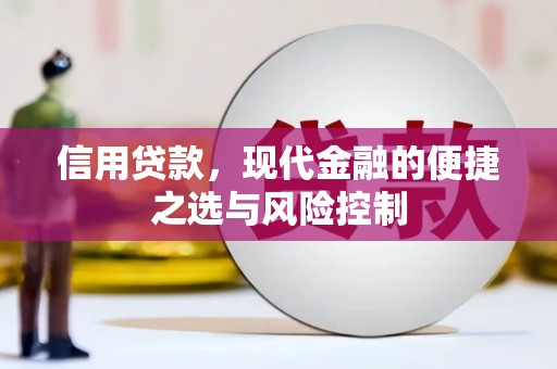 裕民信用贷款，现代金融的便捷之选与风险控制