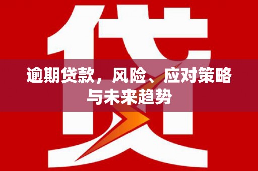 裕民逾期贷款，风险、应对策略与未来趋势