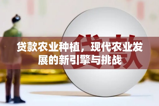 裕民贷款农业种植，现代农业发展的新引擎与挑战