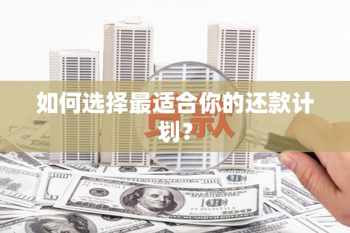 裕民如何选择最适合你的还款计划？