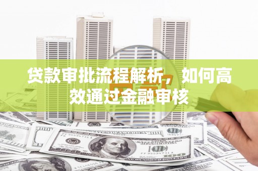 裕民贷款审批流程解析，如何高效通过金融审核