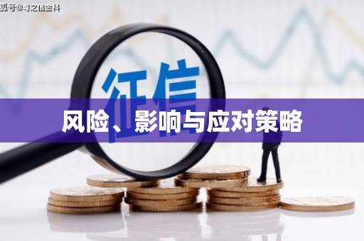 裕民风险、影响与应对策略