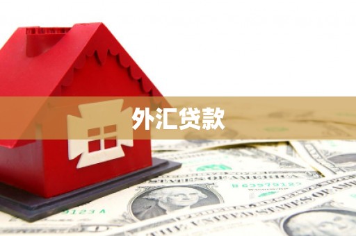 裕民外汇贷款