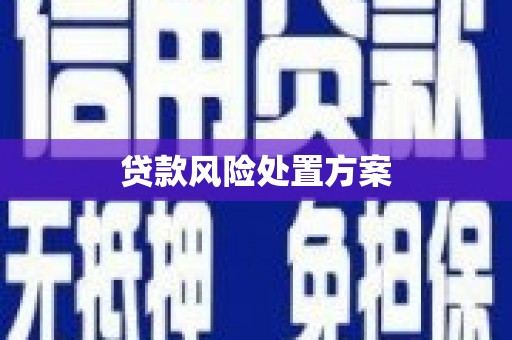 裕民贷款风险处置方案