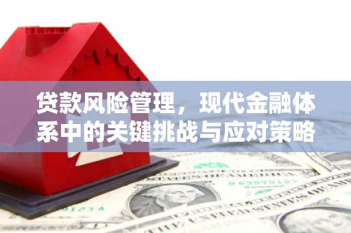 裕民贷款风险管理，现代金融体系中的关键挑战与应对策略