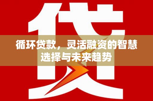 裕民循环贷款，灵活融资的智慧选择与未来趋势