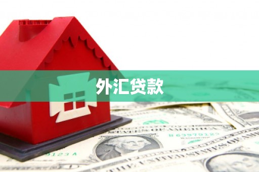 裕民外汇贷款