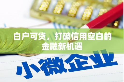 裕民白户可贷，打破信用空白的金融新机遇