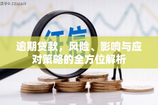 裕民逾期贷款，风险、影响与应对策略的全方位解析