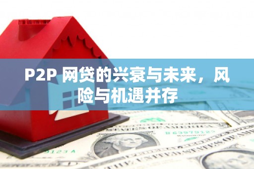 裕民P2P 网贷的兴衰与未来，风险与机遇并存