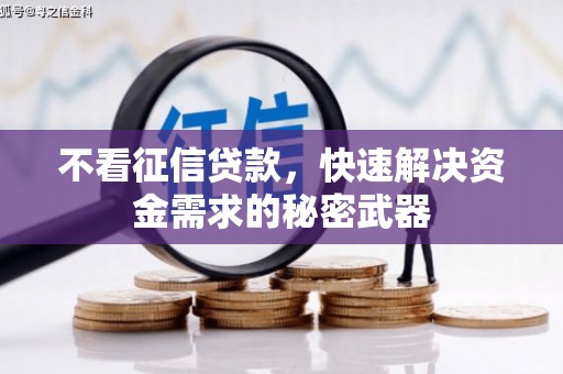 裕民不看征信贷款，快速解决资金需求的秘密武器