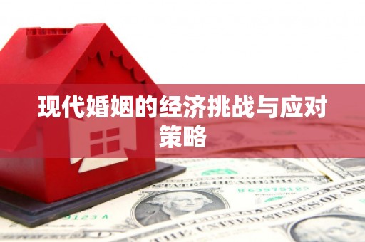 裕民现代婚姻的经济挑战与应对策略